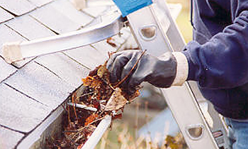 Gutter Cleaning in Indianapolis IN Gutter Cleaning Services in Indianapolis IN Cheap Gutter Cleaning in Indianapolis IN Cheap Gutter Services in Indianapolis IN Quality Gutter Cleaning in Indianapolis IN Gutter Cleaning in IN Indianapolis Gutter Cleaning Services in Indianapolis IN Gutter Cleaning Services in IN Indianapolis Gutter Cleaning in IN Indianapolis Clean the gutters in Indianapolis IN Clean gutters in IN Indianapolis Gutter cleaners in Indianapolis IN Gutter cleaners in IN Indianapolis Gutter cleaner in Indianapolis IN Gutter cleaner in IN Indianapolis Affordable Gutter Cleaning in Indianapolis IN Cheap Gutter Cleaning in Indianapolis IN Affordable Gutter Services in Indianapolis IN